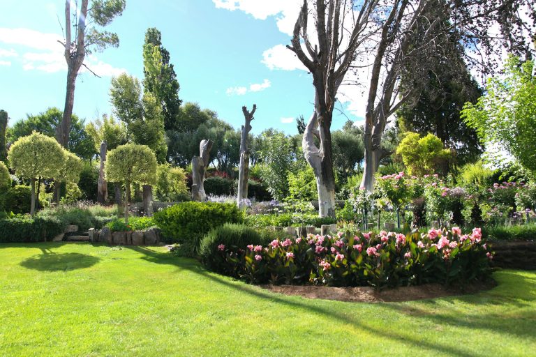 Transform Your Lawn Instantly with Professional Sod Installation Services