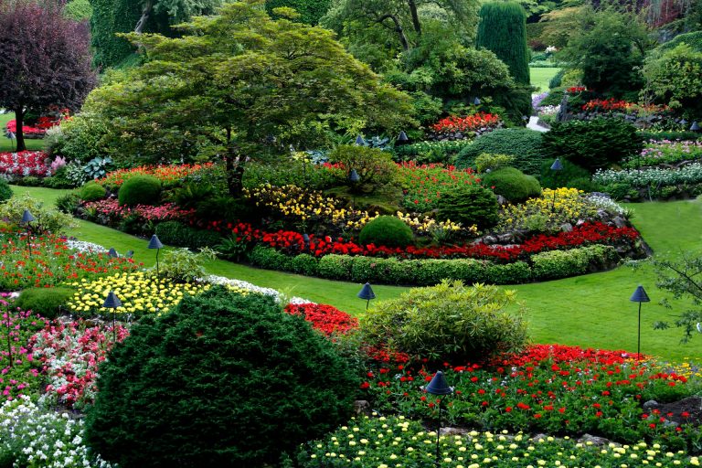 Transform Your Lawn Instantly with Professional Sod Installation Services