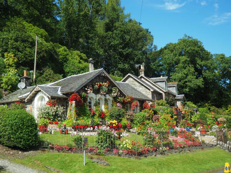 Unleash Your Creativity: The Art of Garden Design and Planning