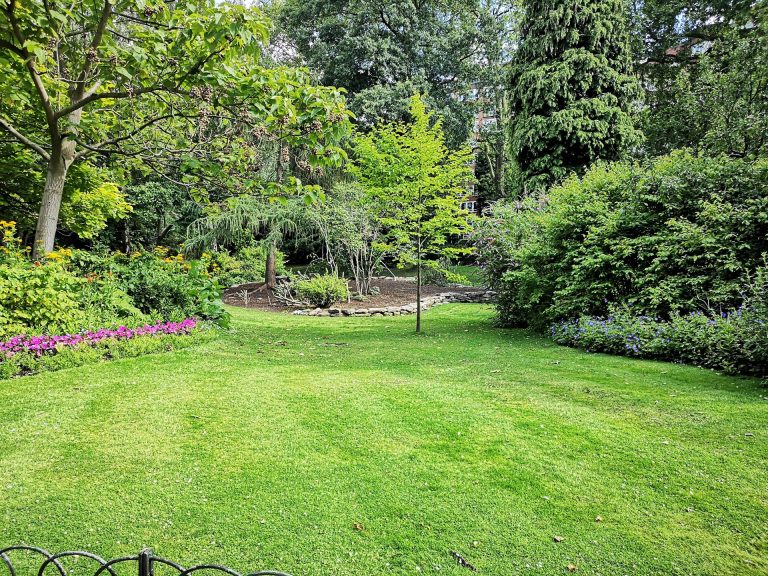 Maximizing Your Garden’s Potential with Professional Irrigation System Installation